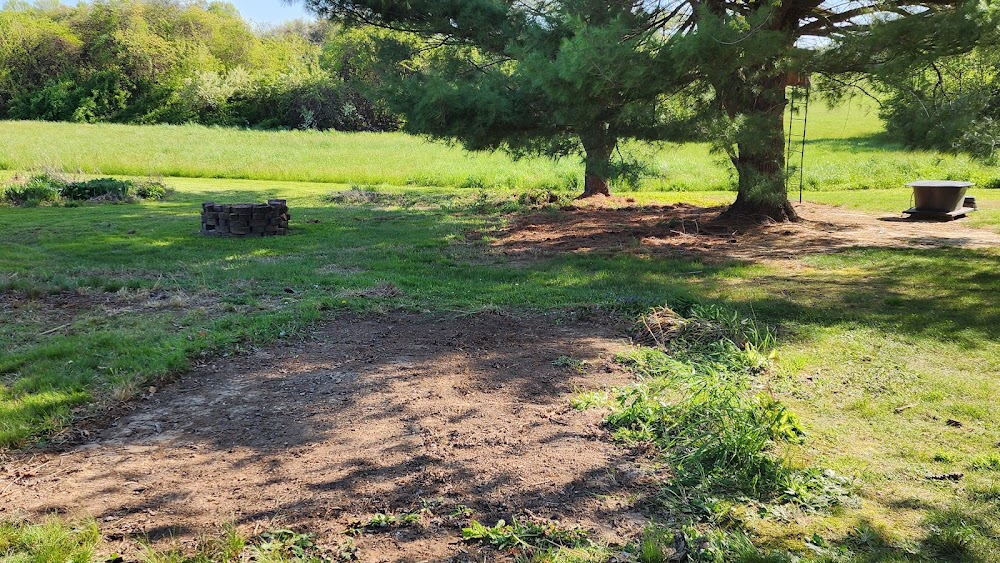 Junk Removal Service